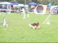 Degerloch Jumping-Senior Nata und Dillan