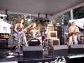 Girl guitarist-Desiree' Bassett - Circles