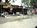 Drive on the way to Indore Office - Daniel Portela Drive on the way to Indore Office - Daniel Portela