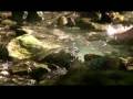 Berchtesgadener Land Imagefilm