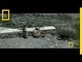 Inside al Qaeda