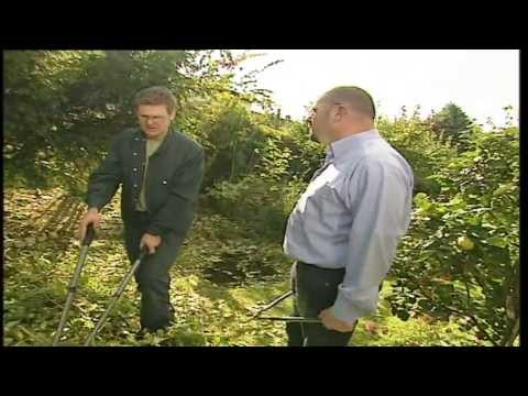 Gartentipps: Sträucher und Heckenschnitt, Professionelle Pflegetipps für ihren Garten