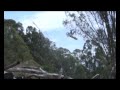 Louis Balfour Freestyle Motocross