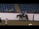 2008 Classic Amateur SR Western Pleasure APHA World Show