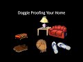Stop Dog Chewing With Positive Dog Training