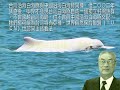 白賊聲(落雨聲山寨歌曲)