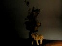 Lampka-kwiat-na baterie Fusy00