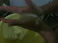 Making AREPAS!!!
