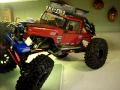 RC rock crawler collection, the exeed and venom sittin pretty!!