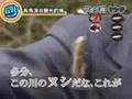 イワイガワ 物件刑事の夏休み/アットホーム TV