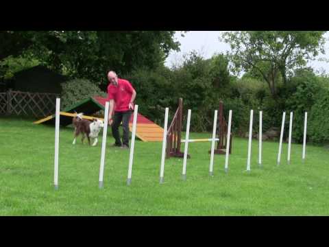 3 weeks into his weave training