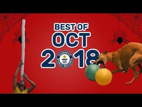 The Best Guinness World Records of October 2018