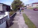 bikes