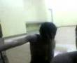 videos de (findek)'s history