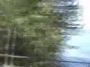 Gustaf Lindstr�m, Bos�n