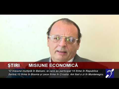 Misiune economică