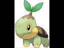videos de my pokemon voices