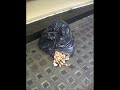 BIG BAG!!!!! BIG BAG!!!!!