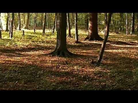 Mauvais Parcours