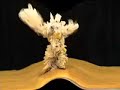 The Bag Monster dances, Bolsas Pl�sticas