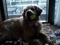 This is a video that the user has chosen on youtube
