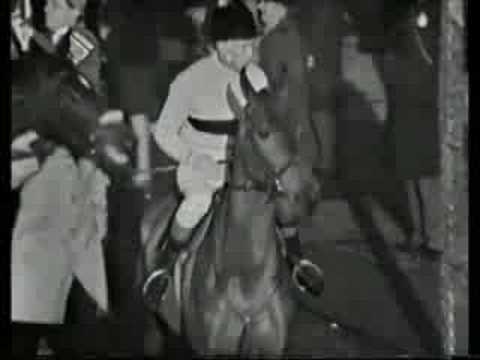 horse racing cheltenham