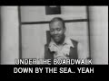 The Drifters - Under The Boardwalk