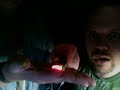 glow worms glow worms