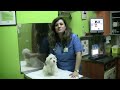video-thumb