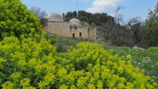 مقام وقرية النبي يوشع المهجرة - الجليل الأعلى