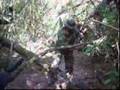 Ver Video
