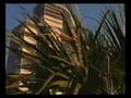 Lutgert Companies Residential Properties