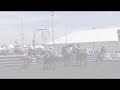 Horseball *mixtape* 7