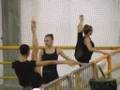 winners Training 2006 Prato