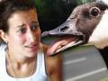 GIANT KILLER GOOSE (6.21.10 - Day 417)