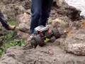 RC Crawling in Madeira - Parte I