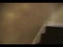 Steadycam Tryout