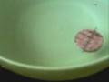 Fabriquer votre boussole