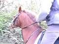 D&C op buitenrit. Ciska moet schrikken