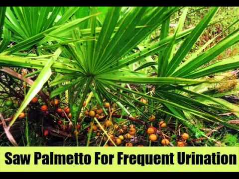 how to cure often urination