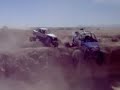 redbull buggies redbull buggies