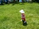 Ayane at Cuptertino Cherry blossom Festival