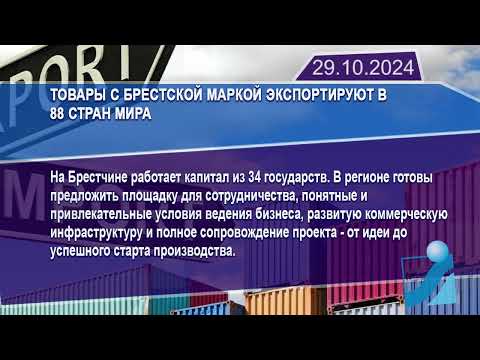 Новостная лента Телеканала Интекс 29.10.24.