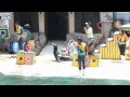 Sea Lion Show