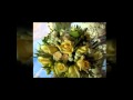 Costura Personalizada - Goldinsigne Design.wmv