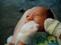 Jaidyn Wiggly