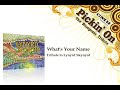 Bluegrass Tribute To Lynyrd Skynyrd - What's Your Name