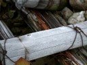 ???????????Ermine ?