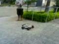 videos de Kyosho DST