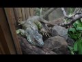 Beardsley Zoological Gardens 9/6/09 pt23